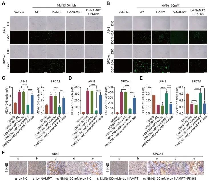 古特生物 古特生物