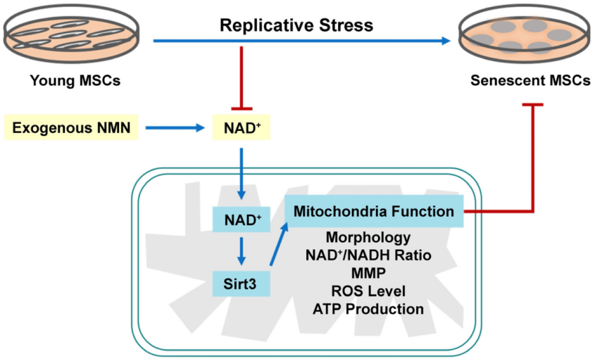 古特生物 古特生物