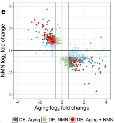 古特生物 古特生物