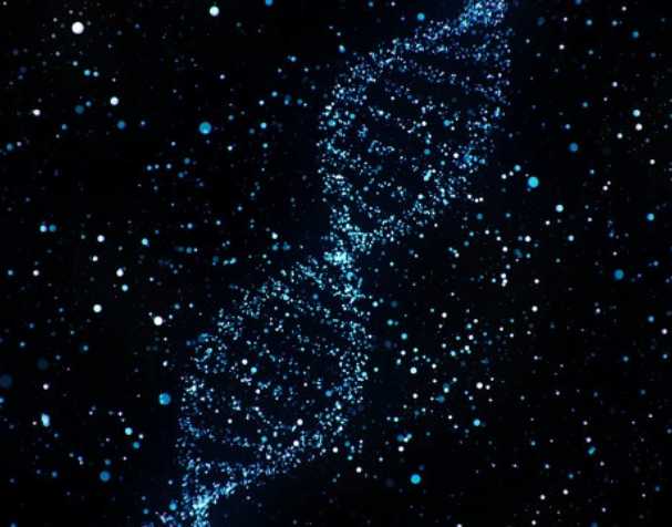 煙酰胺核糖氯化物有什么優(yōu)勢？