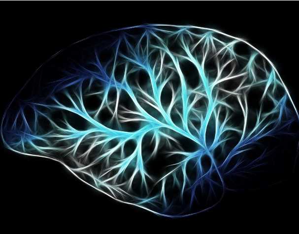 古特生物 PQQ對大腦功能的影響