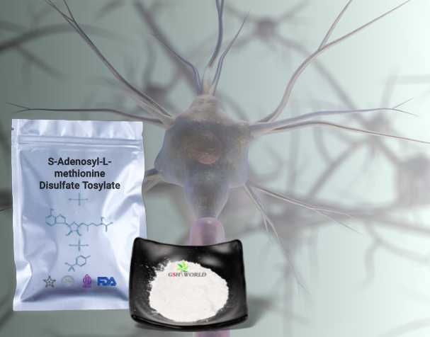 古特生物 古特生物