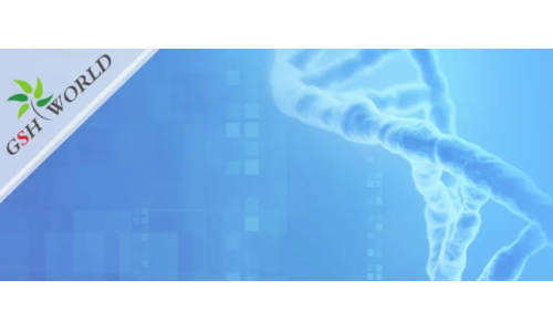 煙酰胺和nmn區(qū)別？煙酰胺單核苷酸(NMN) 的化合物