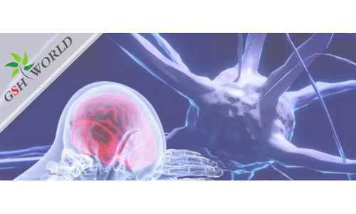 行業(yè)關注 - 谷胱甘肽在腦部疾病和衰老中的作用