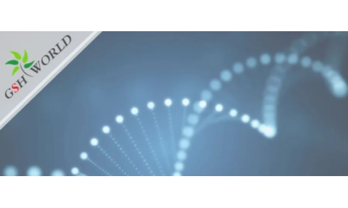 行業(yè)關注 - 胞磷膽堿保護大腦的7大好處