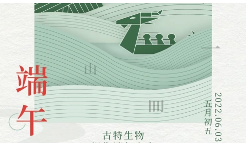 端午 - 爭流而上，行舟踏浪