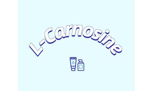 L-肌肽有什么應用？